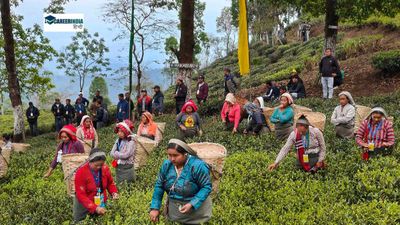 भारत के 10 सबसे कम प्रदूषण वाले शहर कौन से हैं? यहां देखें टॉप 10 की सूची