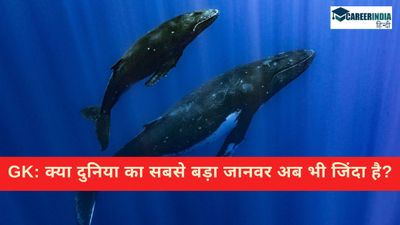 क्या दुनिया का सबसे बड़ा जानवर अब भी जिंदा है? जानिए दुनिया के विशालकाय जानवरों की लिस्ट