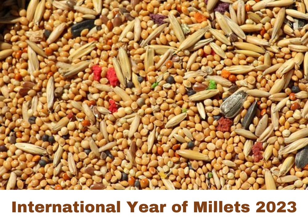 संयुक्त राष्ट्र महासभा ने 2023 को किया बाजरा अंतर्राष्ट्रीय वर्ष घोषित संयुक्त राष्ट्र महासभा ने 2023 को किया बाजरा अंतर्राष्ट्रीय वर्ष घोषित