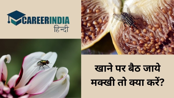 खाने पर बैठ जाये मक्खी तो क्या करें? पढ़ें सिडनी विश्वविद्यालय के रिसर्चर का जवाब खाने पर बैठ जाये मक्खी तो क्या करें? पढ़ें सिडनी विश्वविद्यालय के रिसर्चर का जवाब