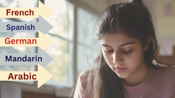 जानिए क्या है स्कोप, किस भाषा की है डिमांड? कैसे बन सकते हैं ट्रांसलेशन एक्सपर्ट