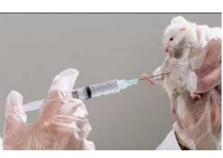 CBSE : Schools Labs Face Legal Action CBSE : Schools Labs Face Legal Action