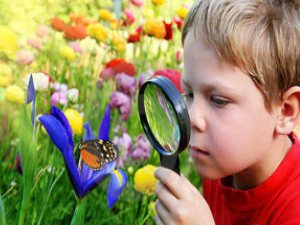 Student Life: Learning Ways To Retain Information.