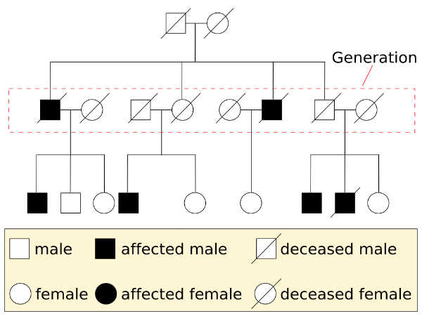 Biology Diagram For Class 12 Board Exams