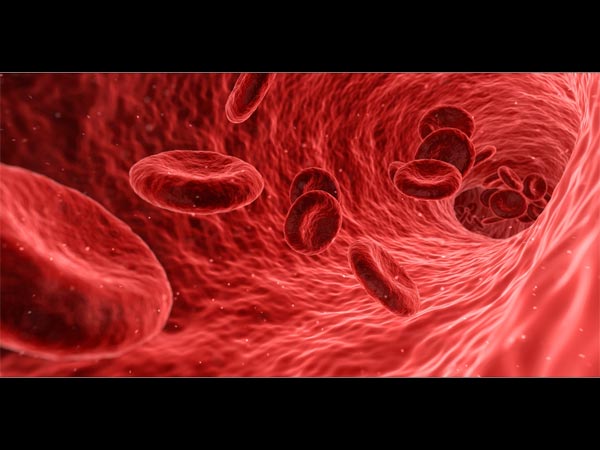 Class 12 Biology:Top 30 1-Mark Questions