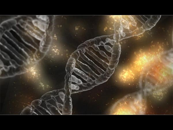 Class 12 Biology:Top 30 1-Mark Questions