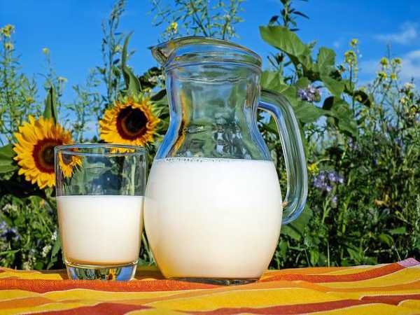 World Milk Day: Benefits, Importance And Facts
