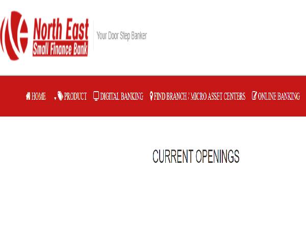 NESFB Recruitment 2022 for 625 vacancies 