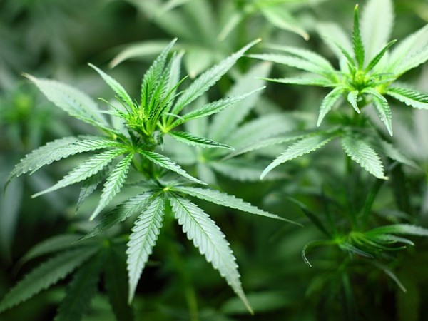 Drug Trafficking in India: Interesting Facts