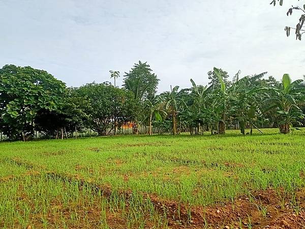 How to Become an Agriculturalist in 2023?