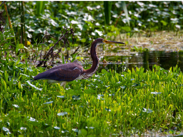 World Wetlands Day 2023 World Wetlands Day 2023