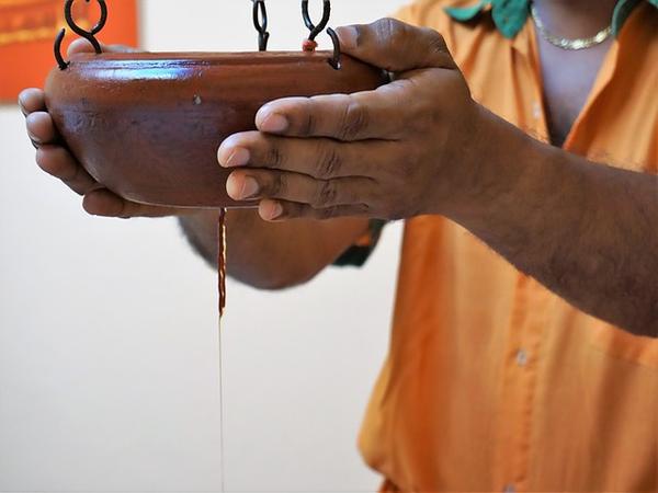 Top Ayurveda Colleges in Kerala 