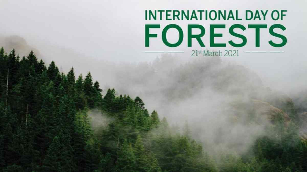 International Day of Forests 21 March, 2023