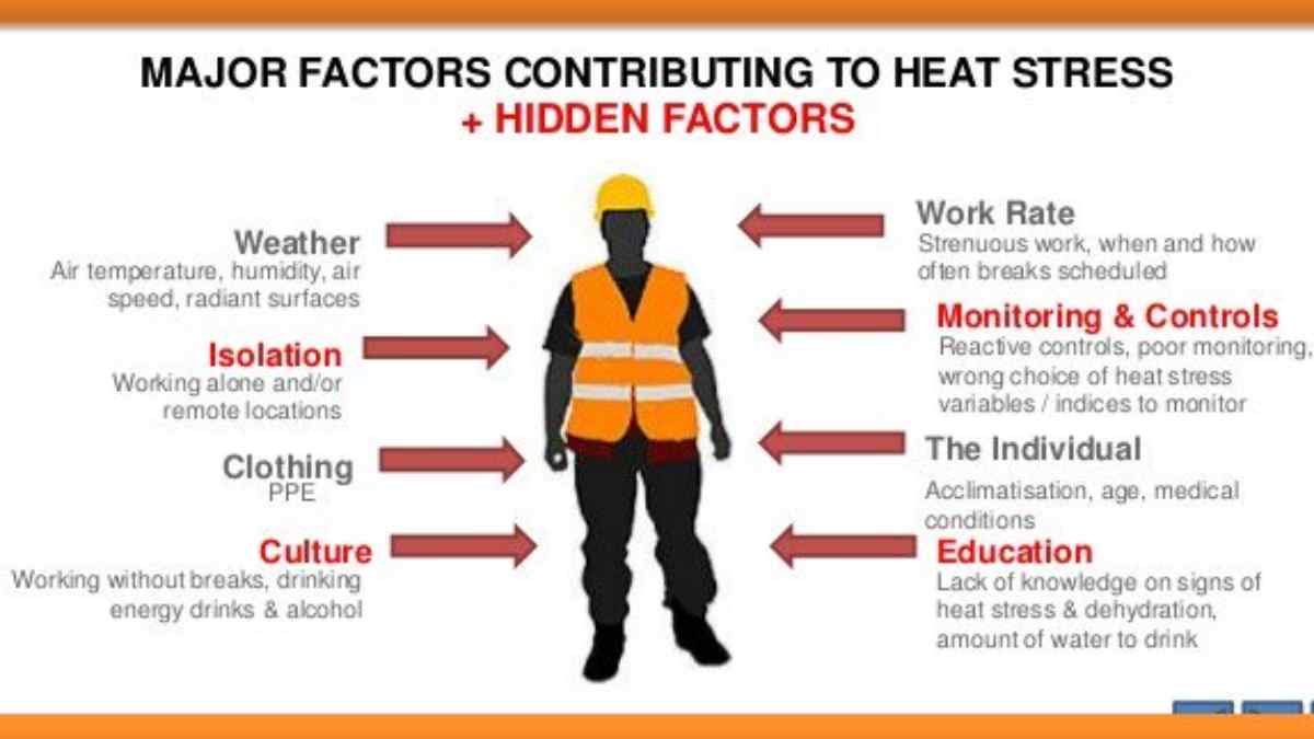 How Pakistan and Bangladesh are giving Heat Stress
