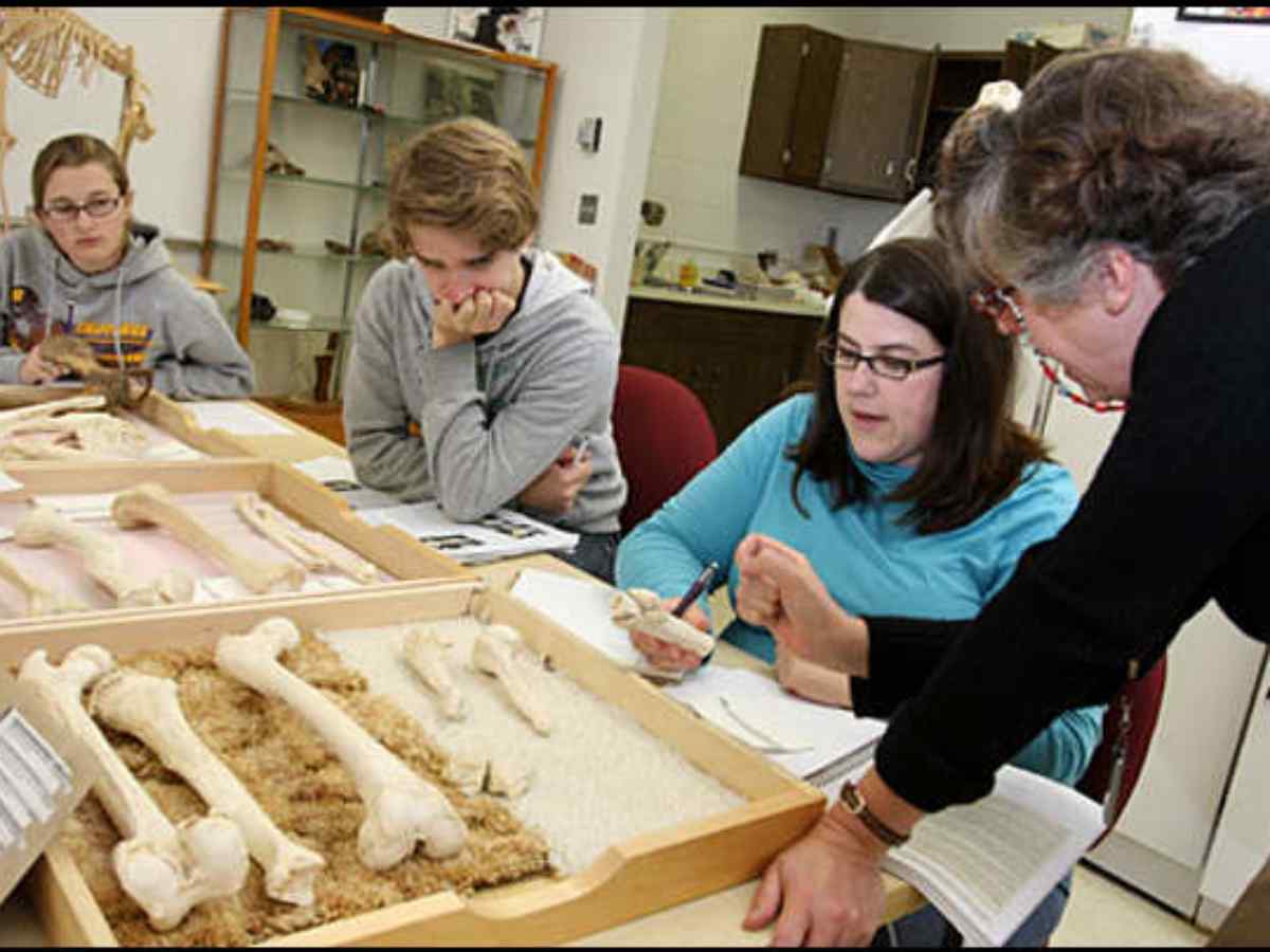 BA in Anthropology : Scope, Best Colleges BA in Anthropology : Scope, Best Colleges