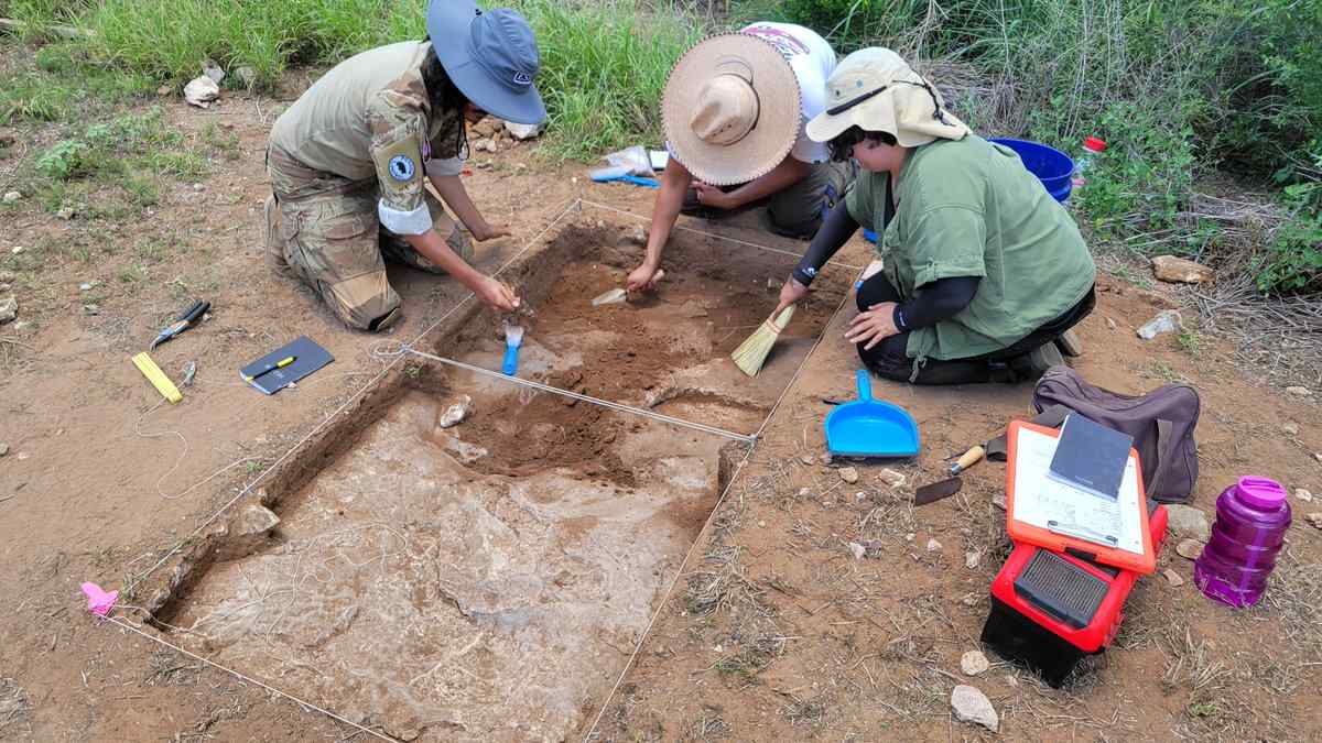 BA in Archaeology: Scope, Best Colleges