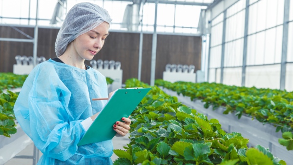 10 IGNOU Online Courses Approved by UGC