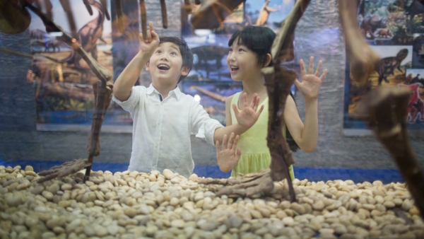 Certificate Courses for History students: Career