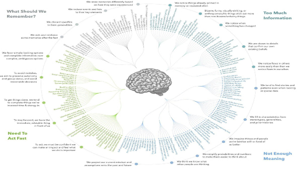Certificate Courses for Psychology Students 