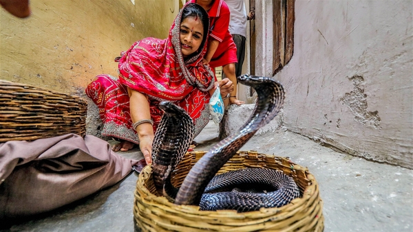 Essay on Nag Panchami 2023