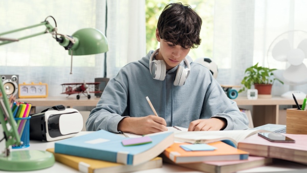 Certificate Courses for BSc, MSc Mathematics 