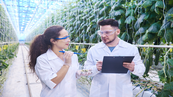 Discover 8 innovative and promising agriculture 