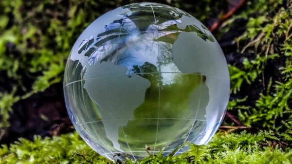 Climate change led to 1000 hours of Extreme Temp.