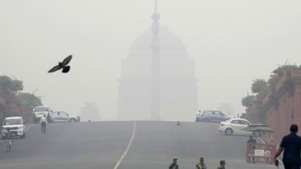 To combat the city's pollution problem