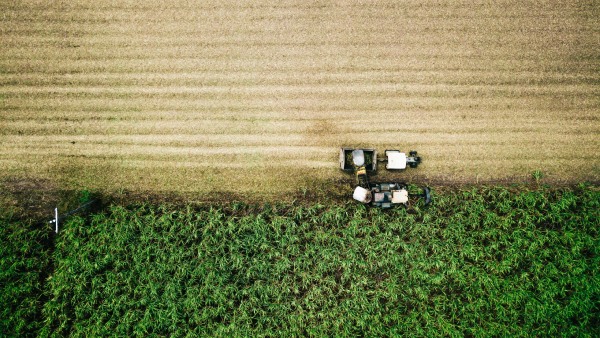 India pays highest cane price in the World