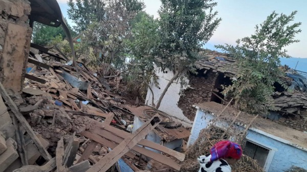 Vulnerability of Himalayas and Nepal to Earthquake