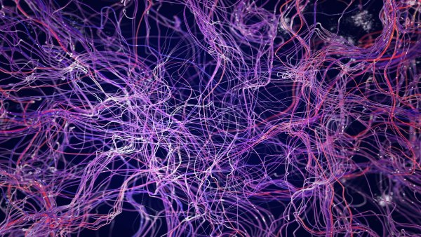 Year Ender 2023: List of Discoveries in 2023