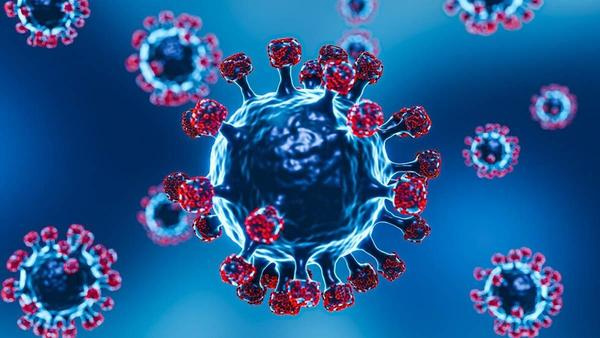 Coronavirus variant JN.1: All you need to know Coronavirus variant JN.1: All you need to know