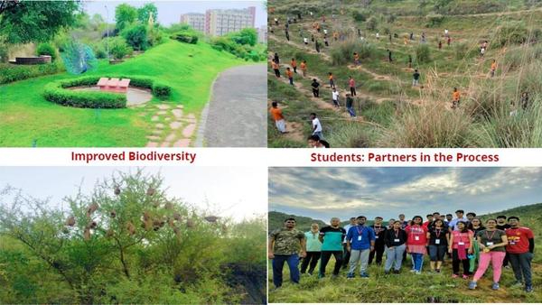 NIIT University; Sustainability Impact Report 2024