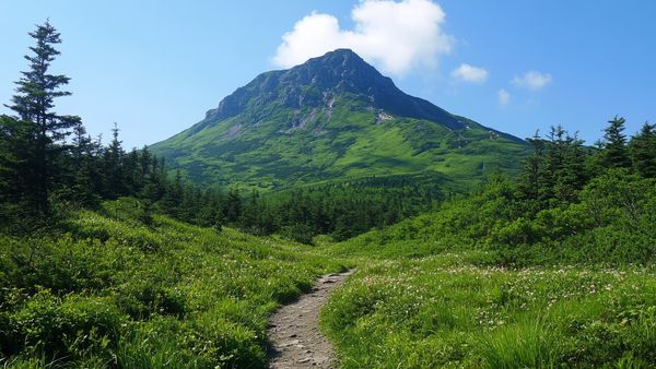 Uttar Pradesh's Highest Peak: Dhwa Danda