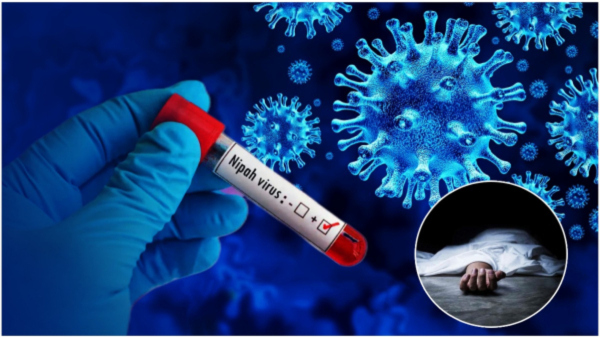 Kerala's Nipah Virus Outbreak