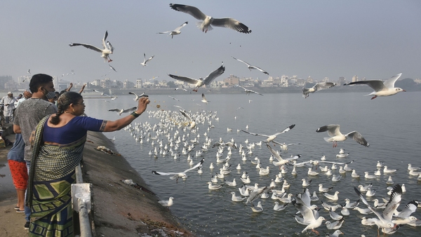 Which Rivers Form the Arabian Sea? 