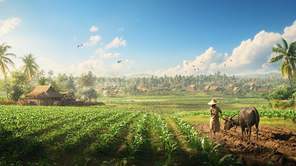 Agriculture's Role in India's Economy