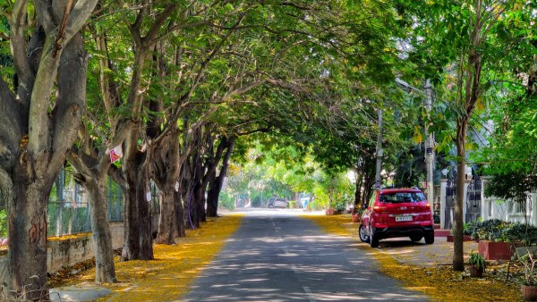  ‘It Happens Only in Bangalore' Things