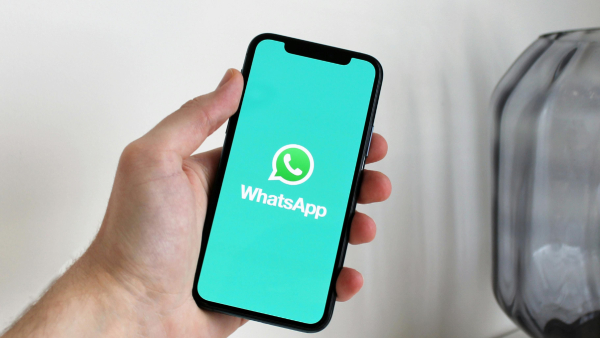 ChatGPT Meets WhatsApp: AI at Your Fingertips