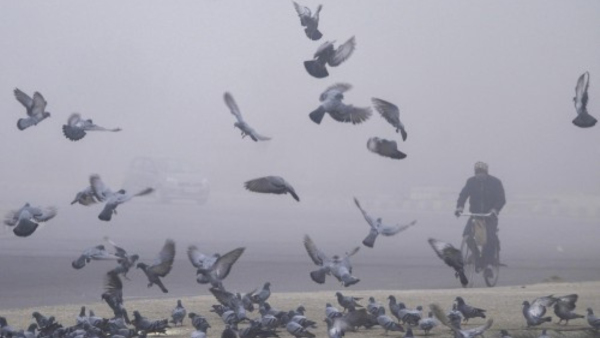 Patna Schools Closed Due to Cold Weather