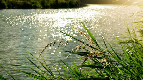 Which Indian State Called the Land of Five Rivers?