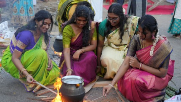 50+ Heartwarming Pongal Wishes 2025 