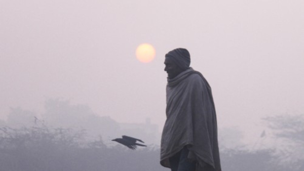 Bangalore’s Weather: What’s Next in the Forecast? Bangalore’s Weather: What’s Next in the Forecast?