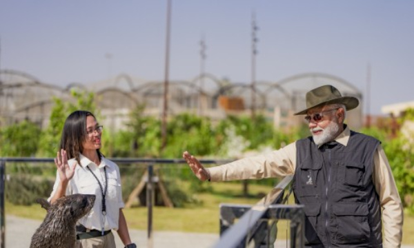 PM Modi’s Thrilling Lion Safari at Gir 