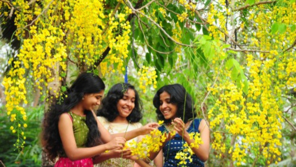 50+ Heartfelt Vishu Wishes 2025 50+ Heartfelt Vishu Wishes 2025