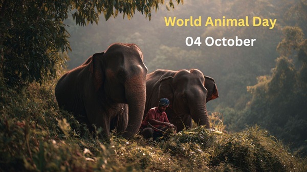 World Animal Day – 4 October 2025