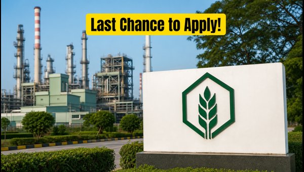 Apply For RCF Management Trainee 2026 Now Apply For RCF Management Trainee 2026 Now