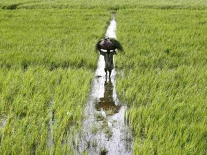 ಕೃಷಿ ಇಲಾಖೆಯಲ್ಲಿ ಒಪ್ಪಂದದ ಆಧಾರದ ಮೇಲೆ ನೇಮಕಾತಿ