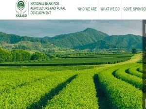 ನಬಾರ್ಡ್ ನಲ್ಲಿ 91 ಅಸಿಸ್ಟೆಂಟ್ ಮ್ಯಾನೇಜರ್ ಹುದ್ದೆಗಳ ನೇಮಕಾತಿ 