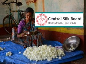 ಬೆಂಗಳೂರಿನಲ್ಲಿ ನೇಮಕಾತಿ ಪ್ರಕಟಣೆ ಹೊರಡಿಸಿರುವ ಈ ಸರ್ಕಾರಿ ಹುದ್ದೆಗೆ ಇಂದೇ ಅರ್ಜಿ ಸಲ್ಲಿಸಿ !